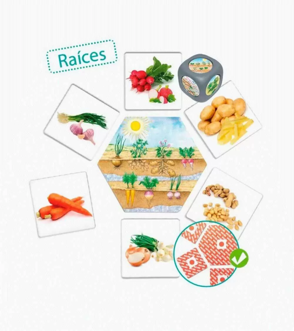 ¿De Dónde Vienen Los Alimentos? - Image 2