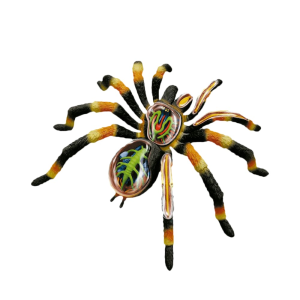 Modelo Anatómico de La Tarántula