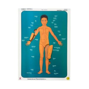 Rompecabezas esquema corporal niño