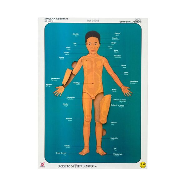 Rompecabezas esquema corporal niño