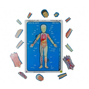 Rompecabezas corporal 8 sistemas - niño