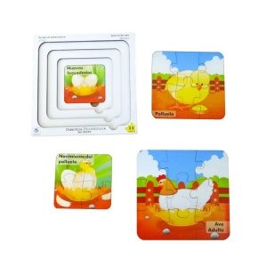 Patrón de crecimiento